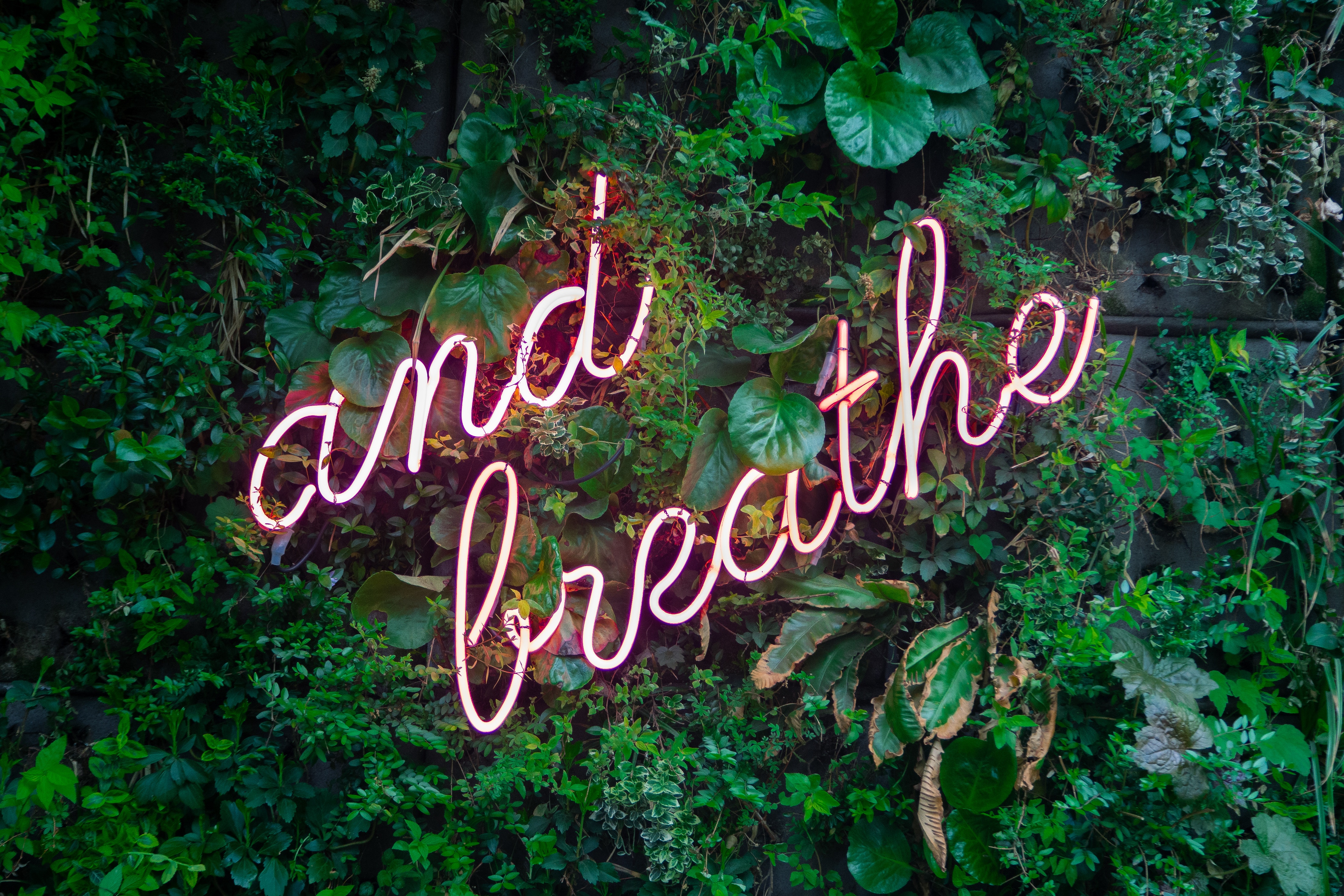 max van den oetelaar 646474 unsplash