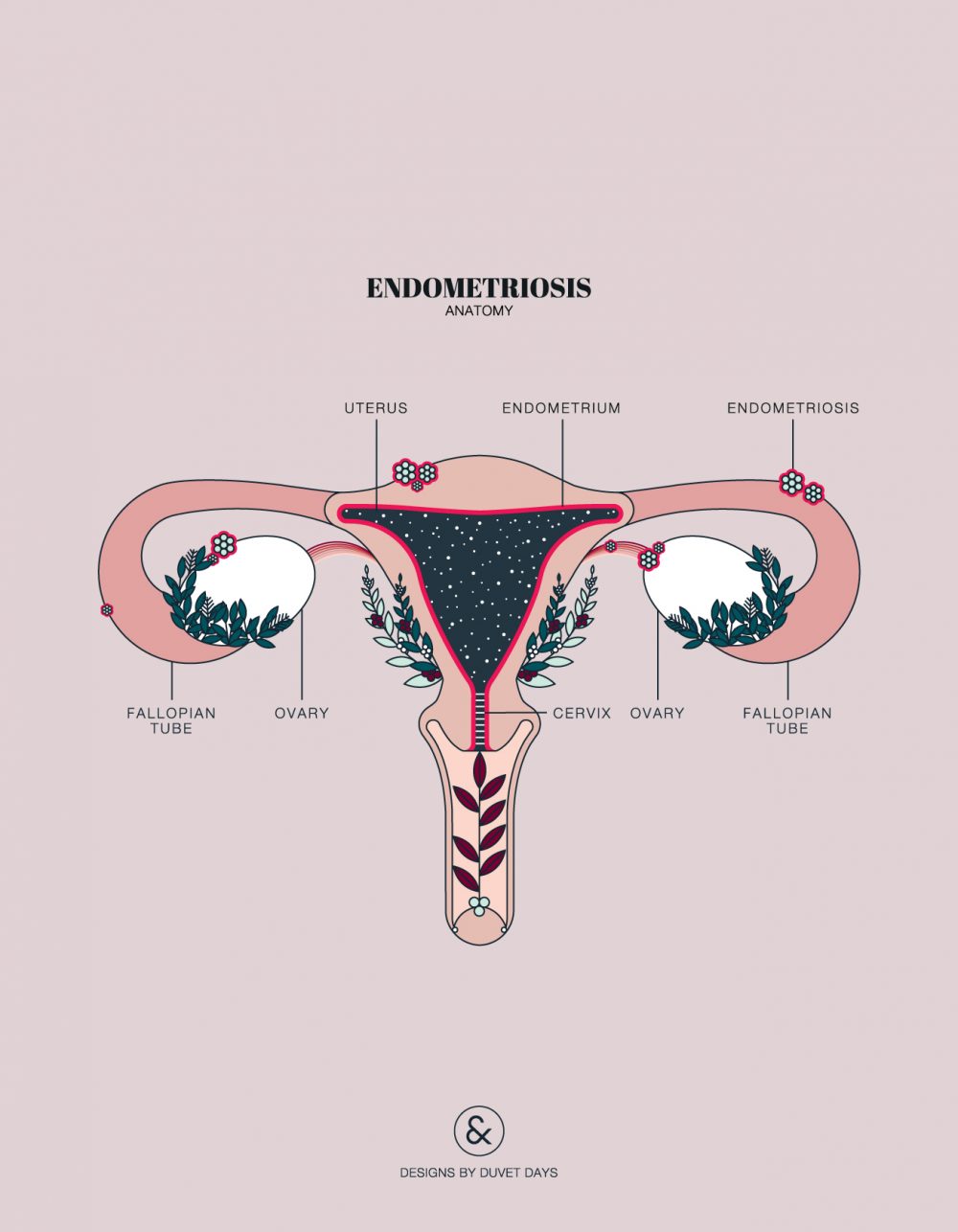 endometriosis.pms_.periods.hormones